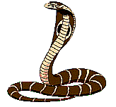 Cobra.gif (42058 bytes)